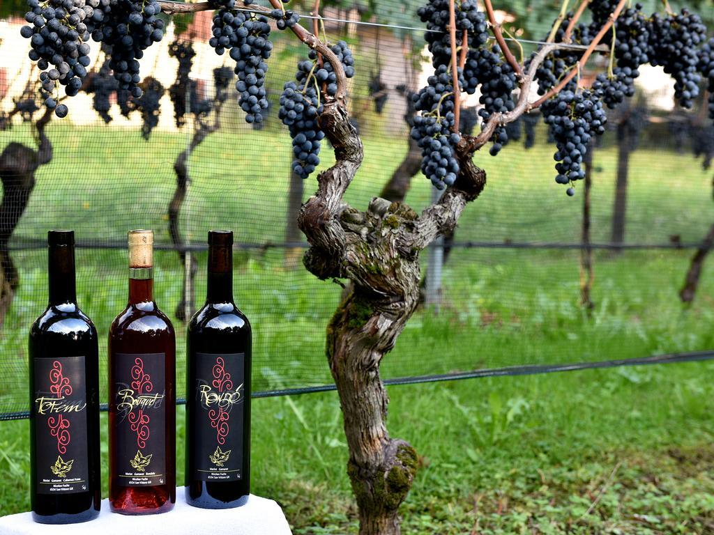Bed And Breakfast Da Kaethy Agriturismo Grono Екстериор снимка